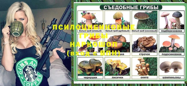 меф Алексин