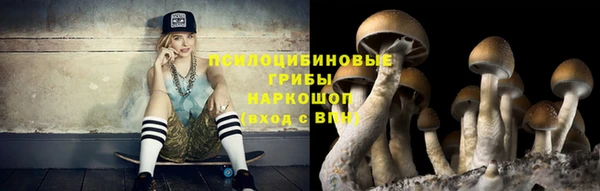 каннабис Алзамай