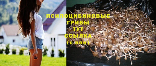 твердый Алексеевка
