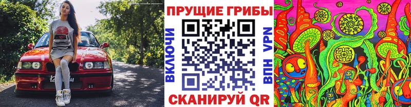 даркнет какой сайт  купить закладку  Ачинск  Галлюциногенные грибы Cubensis 
