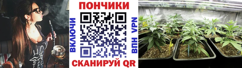 Бошки марихуана сатива  даркнет клад  Ачинск 